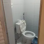 Casa Do Mangue